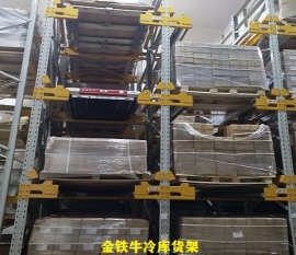 福建大型冷庫(kù)貨架項(xiàng)目